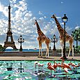 Giraff Eiffel Bridge